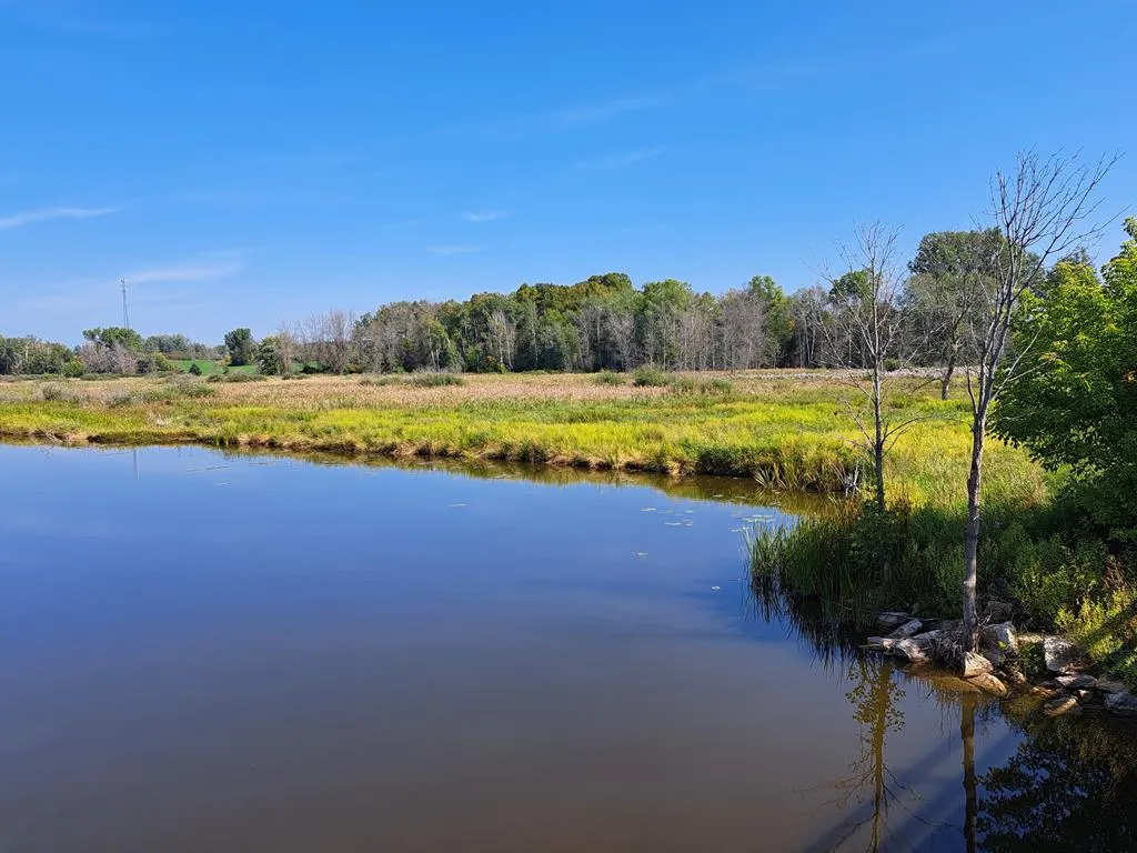 County Rd X, Forestville Wi 54213, ,Unimproved Land,For Sale,County Rd X,141116
