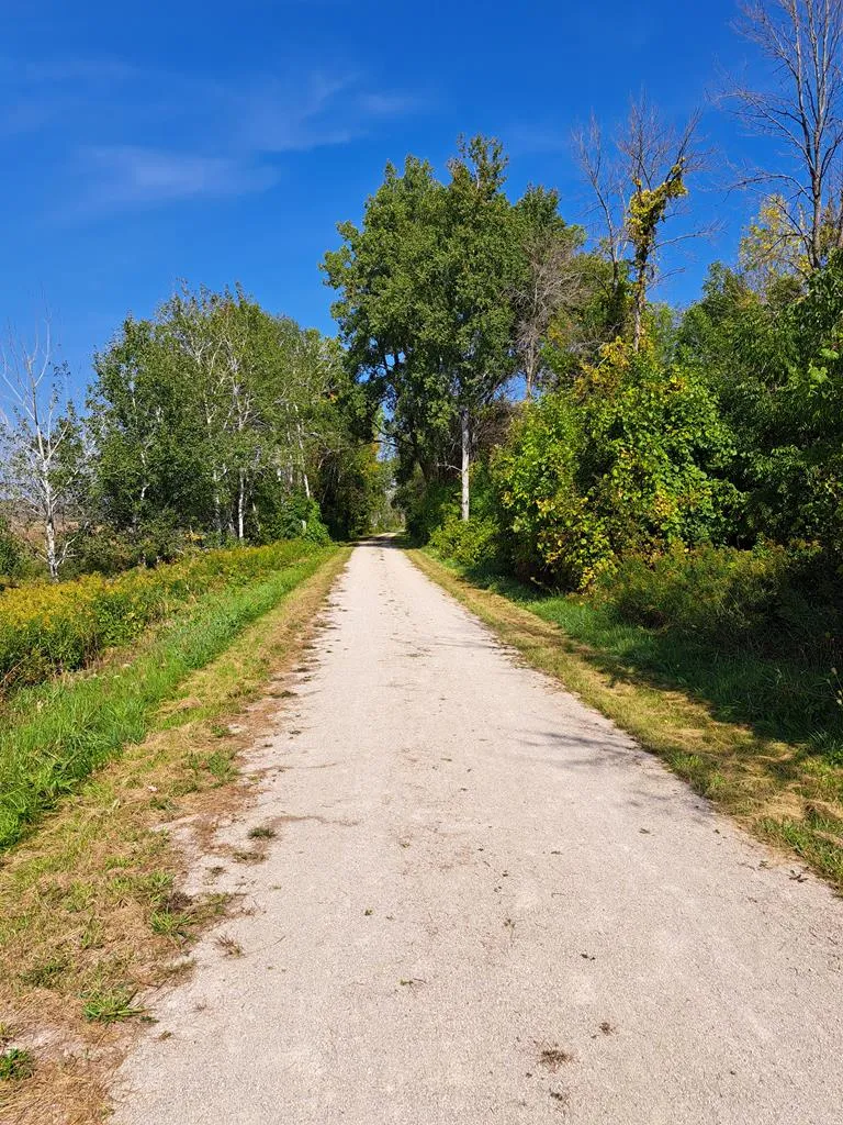 County Rd X, Forestville Wi 54213, ,Unimproved Land,For Sale,County Rd X,141116