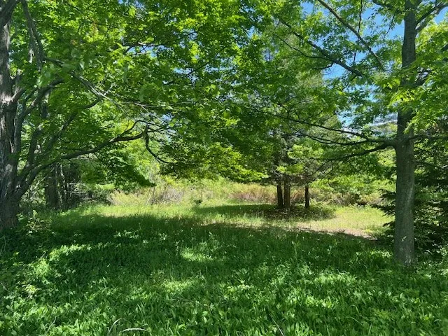 N Coral Hill Rd, Ephraim, Wisconsin 54211, ,Unimproved Land,For Sale,N Coral Hill Rd,144120
