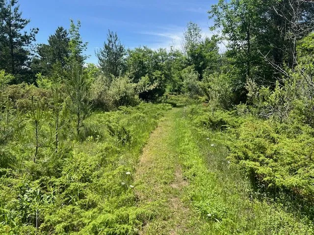 N Coral Hill Rd, Ephraim, Wisconsin 54211, ,Unimproved Land,For Sale,N Coral Hill Rd,144120