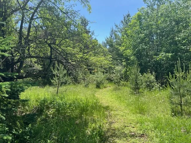 N Coral Hill Rd, Ephraim, Wisconsin 54211, ,Unimproved Land,For Sale,N Coral Hill Rd,144120