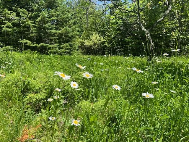 N Coral Hill Rd, Ephraim, Wisconsin 54211, ,Unimproved Land,For Sale,N Coral Hill Rd,144120