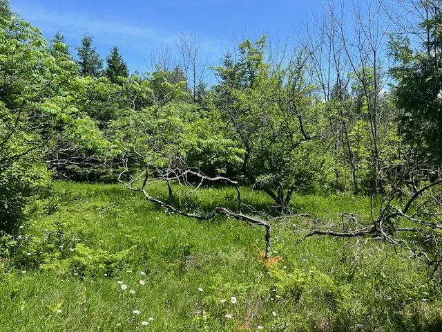N Coral Hill Rd, Ephraim, Wisconsin 54211, ,Unimproved Land,For Sale,N Coral Hill Rd,144120