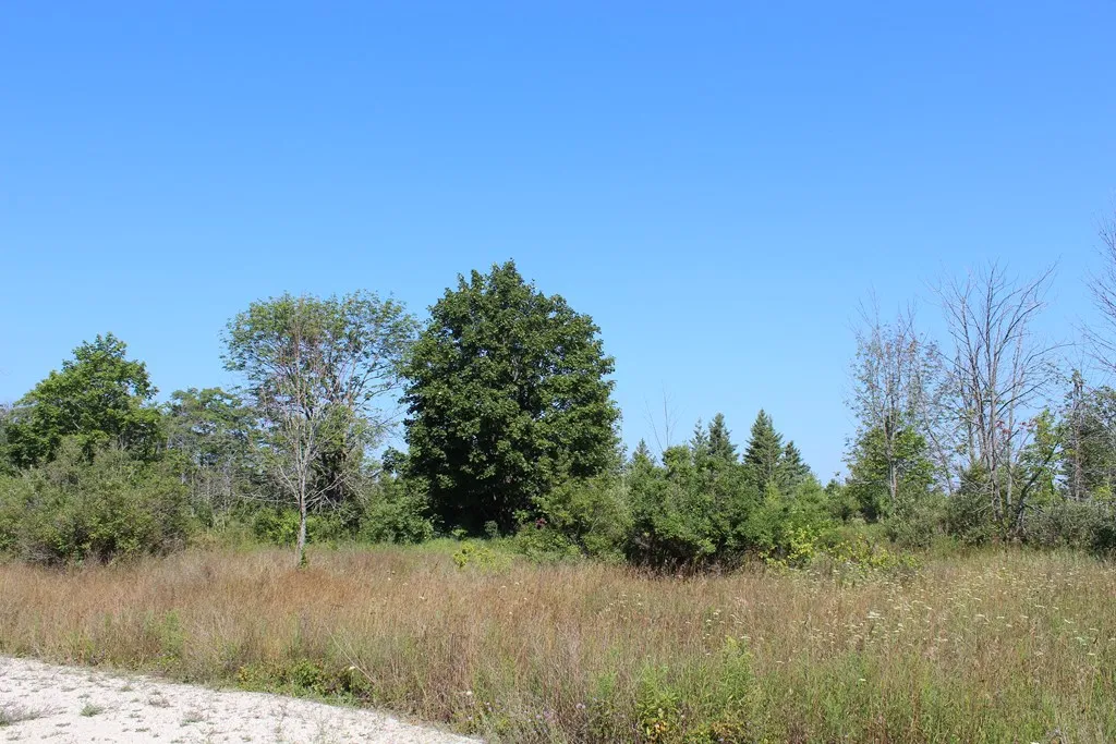 Tbd Humbug Rd, Ellison Bay, Wisconsin 54210, ,Unimproved Land,For Sale,Humbug Rd,144515