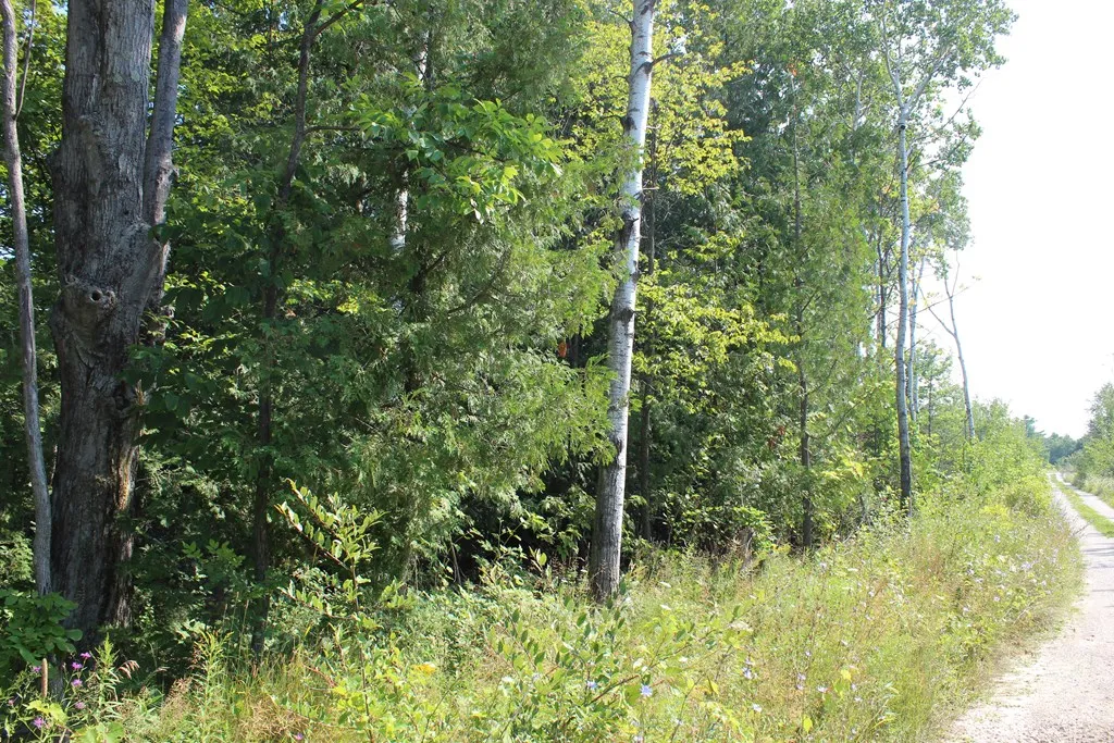 Tbd Humbug Rd, Ellison Bay, Wisconsin 54210, ,Unimproved Land,For Sale,Humbug Rd,144515