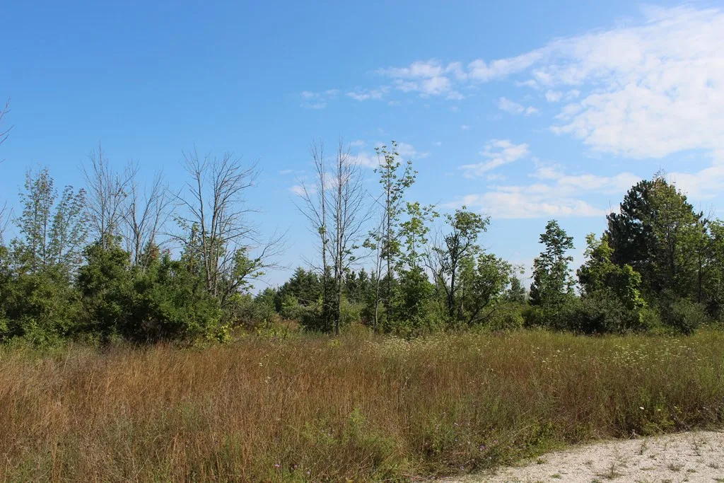 Tbd Humbug Rd, Ellison Bay, Wisconsin 54210, ,Unimproved Land,For Sale,Humbug Rd,144515