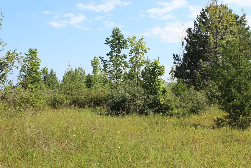 Tbd Humbug Rd, Ellison Bay, Wisconsin 54210, ,Unimproved Land,For Sale,Humbug Rd,144515