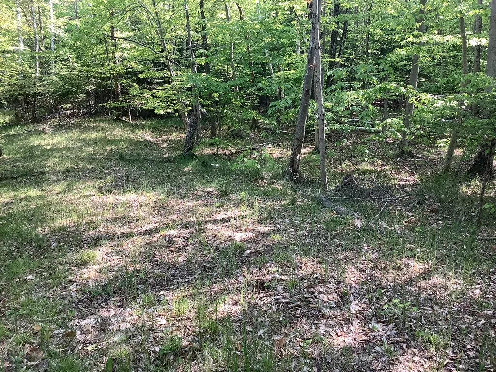 Tbd Timber Trail, Washington Island Wi 54246, ,Unimproved Land,For Sale,Timber Trail,143923