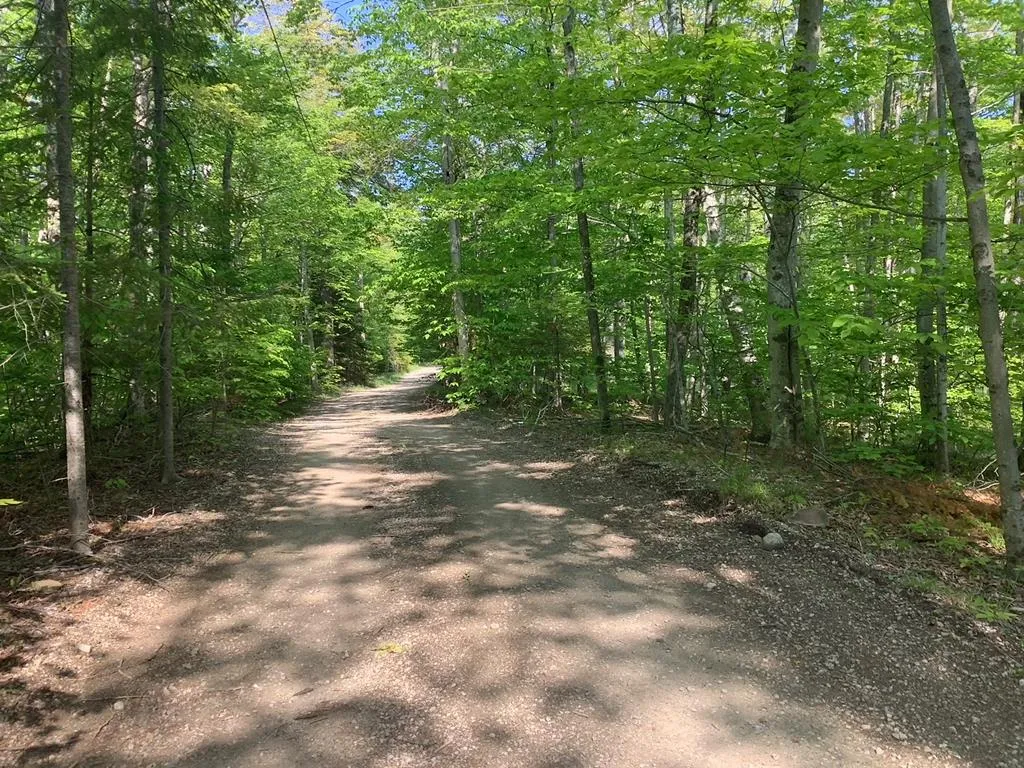 Tbd Timber Trail, Washington Island Wi 54246, ,Unimproved Land,For Sale,Timber Trail,143923