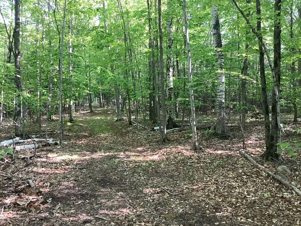 Tbd Timber Trail, Washington Island Wi 54246, ,Unimproved Land,For Sale,Timber Trail,143923