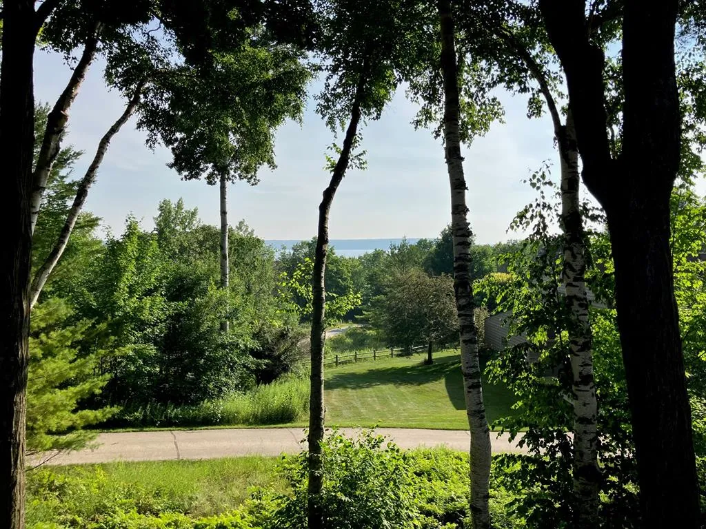 4613 E Bay Shore Cir # D3, Sturgeon Bay, Wisconsin 54235, 2 Bedrooms Bedrooms, ,3 BathroomsBathrooms,Condominium,For Sale,E Bay Shore Cir,144320