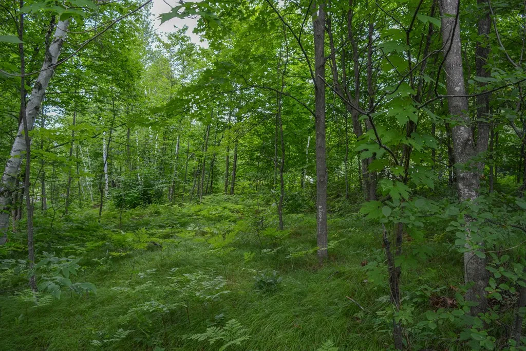 4286 Harbor School Rd # 255, Egg Harbor, Wisconsin 54209, 1 Bedroom Bedrooms, ,1 BathroomBathrooms,Condominium,For Sale,Harbor School Rd,144340