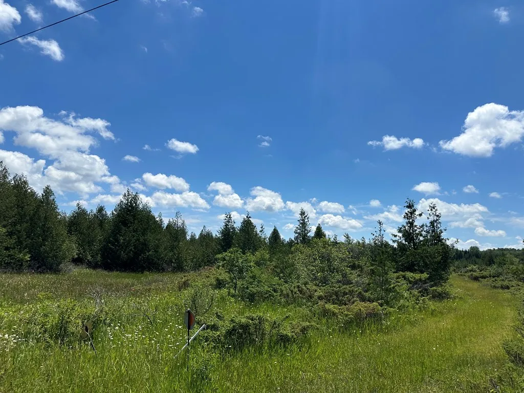 Lot #1 Grove Rd, Baileys Harbor Wi 54202, ,Unimproved Land,For Sale,Cedar Ridge Rd,141875