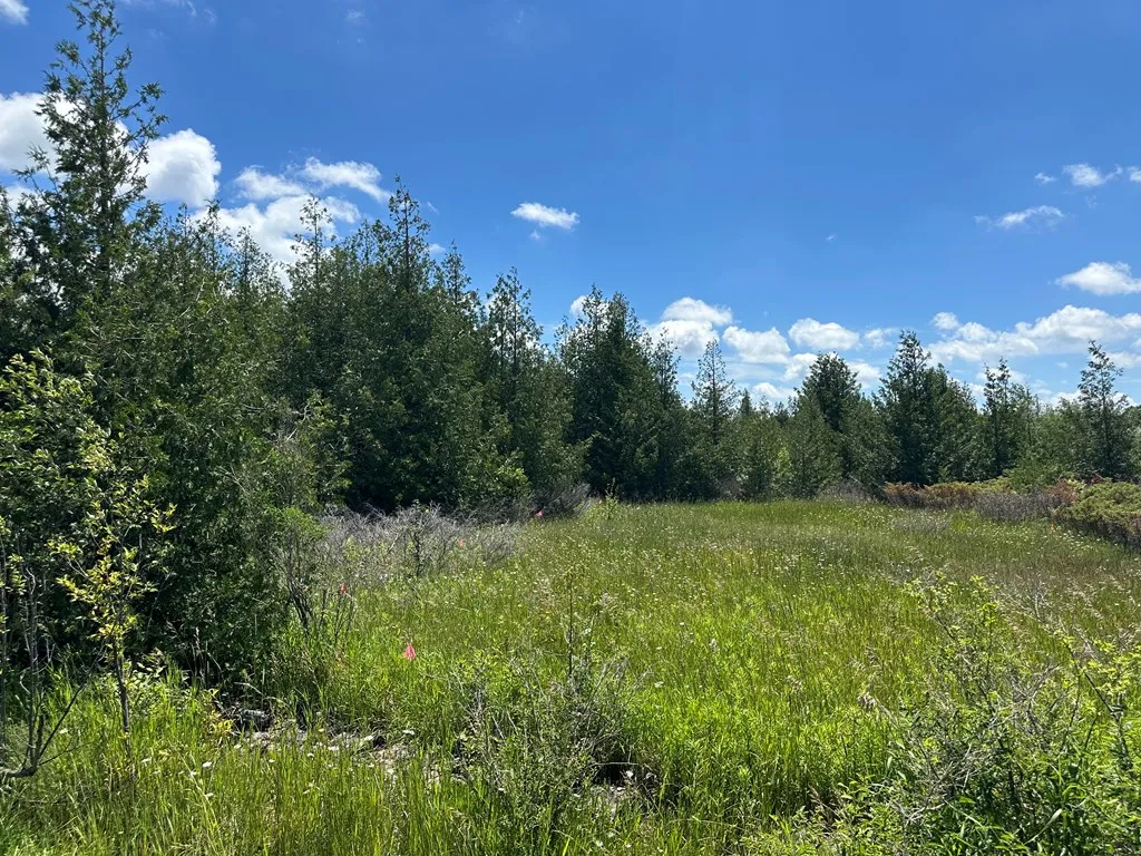 Lot #1 Grove Rd, Baileys Harbor Wi 54202, ,Unimproved Land,For Sale,Cedar Ridge Rd,141875