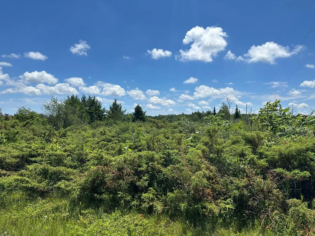 Lot #1 Grove Rd, Baileys Harbor Wi 54202, ,Unimproved Land,For Sale,Cedar Ridge Rd,141875