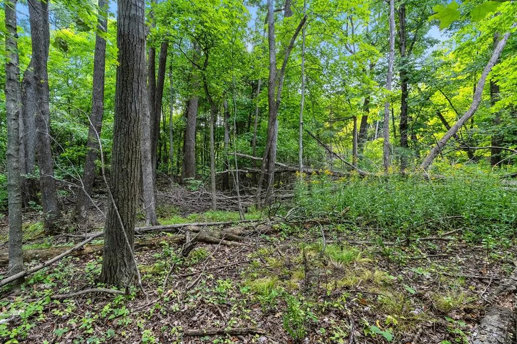 Tbd N Bay Shore Rd, Brussels, Wisconsin 54204, ,Unimproved Land,For Sale,N Bay Shore Rd,144476