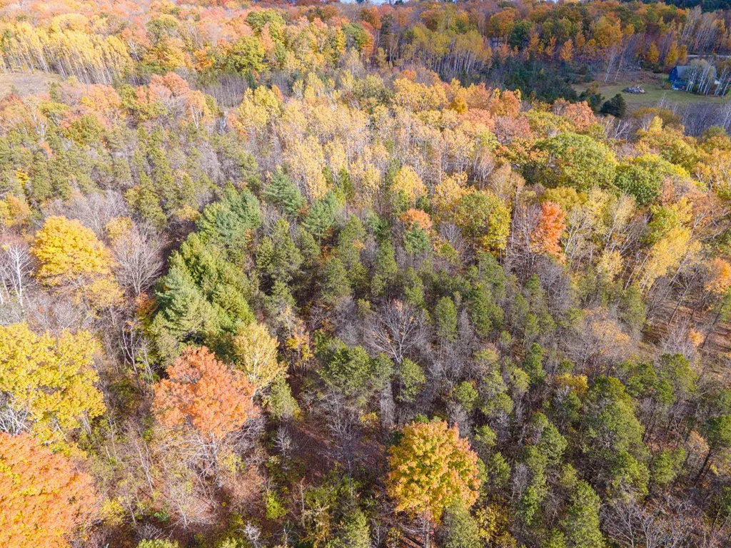 7499 Logerquist Rd, Baileys Harbor Wi 54202, ,Unimproved Land,For Sale,Logerquist Rd,143729