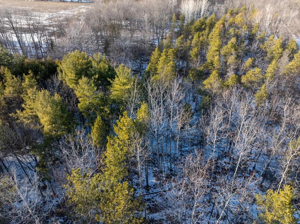 7499 Logerquist Rd, Baileys Harbor Wi 54202, ,Unimproved Land,For Sale,Logerquist Rd,143729