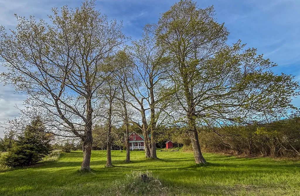 852 Jackson Harbor Rd, Washington Island, Wisconsin 54246, 3 Bedrooms Bedrooms, ,3 BathroomsBathrooms,Inland-Residential,For Sale,Jackson Harbor Rd,143986