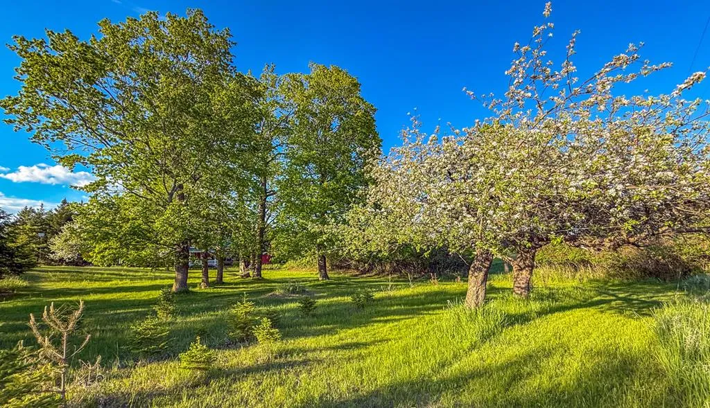852 Jackson Harbor Rd, Washington Island, Wisconsin 54246, 3 Bedrooms Bedrooms, ,3 BathroomsBathrooms,Inland-Residential,For Sale,Jackson Harbor Rd,143986
