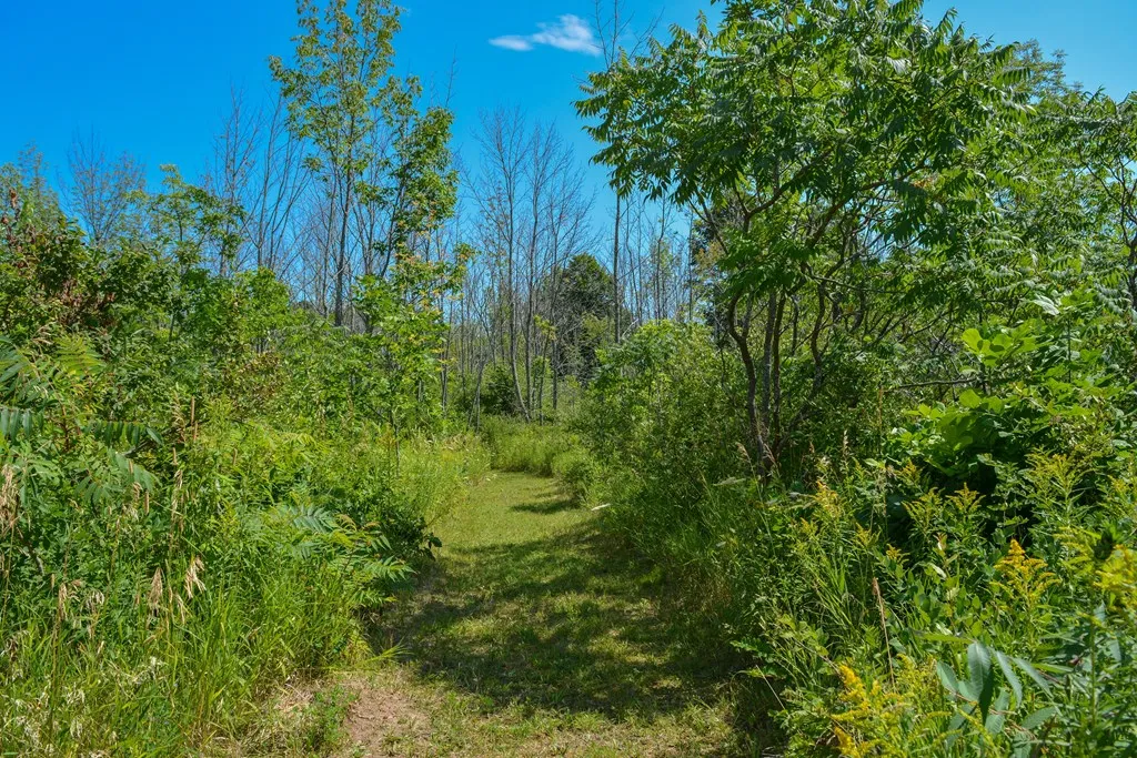 7563 Sunrise Ridge Ln, Egg Harbor Wi 54209, 2 Bedrooms Bedrooms, ,1 BathroomBathrooms,Condominium,For Sale,Sunrise Ridge Ln,143056
