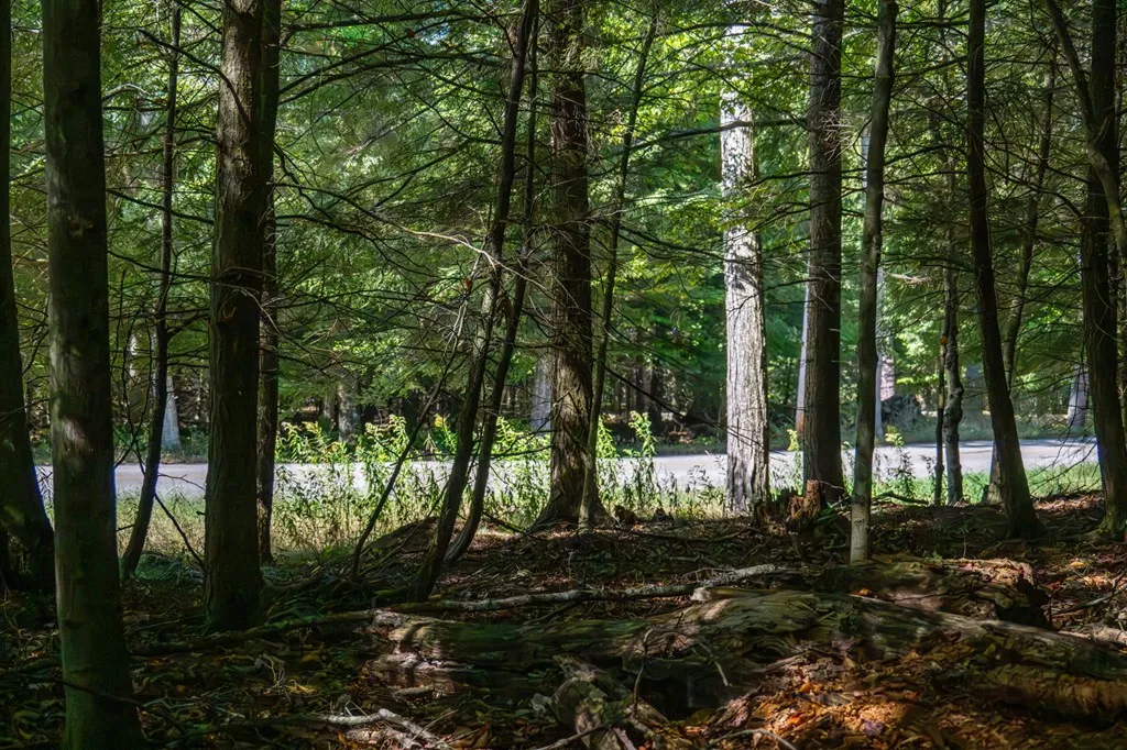 Tbd N Cave Point Dr, Jacksonport Wi 54235, ,Unimproved Land,For Sale,N Cave Point Dr,143270