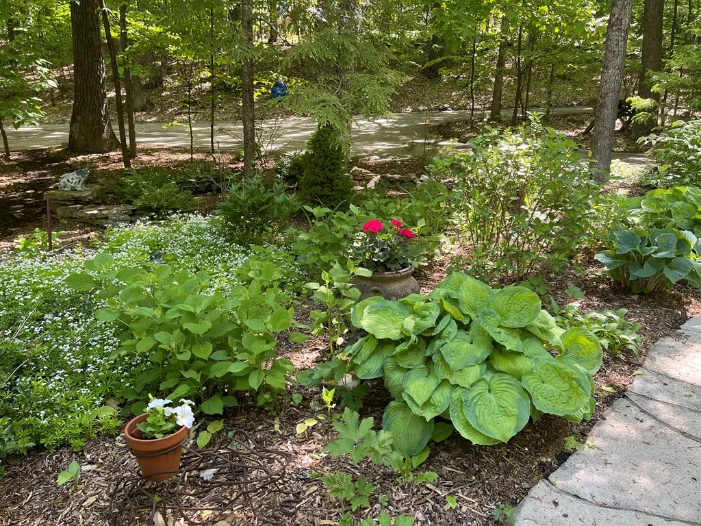 8145 Chateau Dr, Egg Harbor Wi 54209, 3 Bedrooms Bedrooms, ,3 BathroomsBathrooms,Inland-Residential,For Sale,Chateau Dr,141678