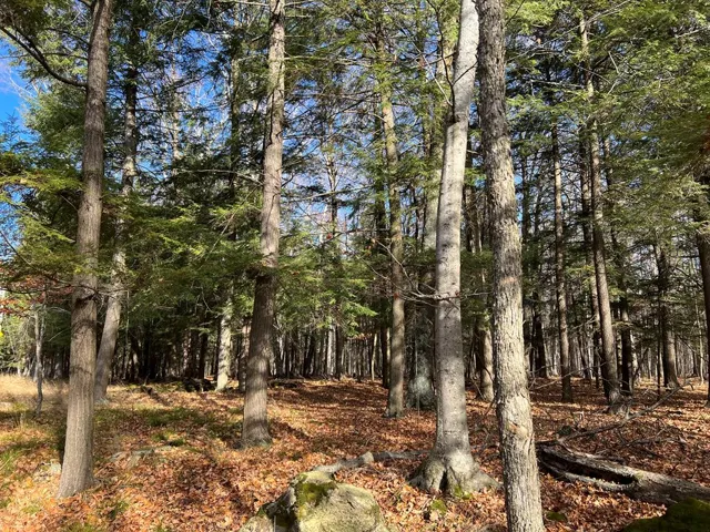 Tbd Cliff View Dr, Sturgeon Bay Wi 54235, ,Unimproved Land,For Sale,Cliff View Dr,141190