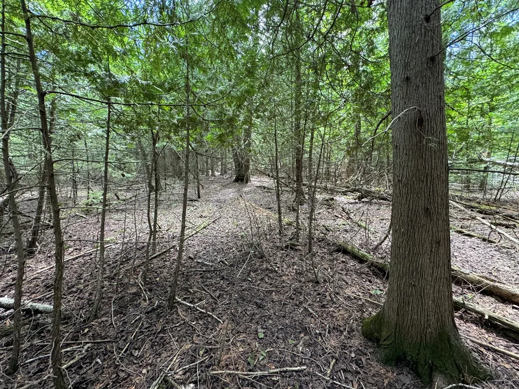 Lot 1 Horseshoe Bay Rd, Egg Harbor Wi 54209, ,Unimproved Land,For Sale,Horseshoe Bay Rd,143060
