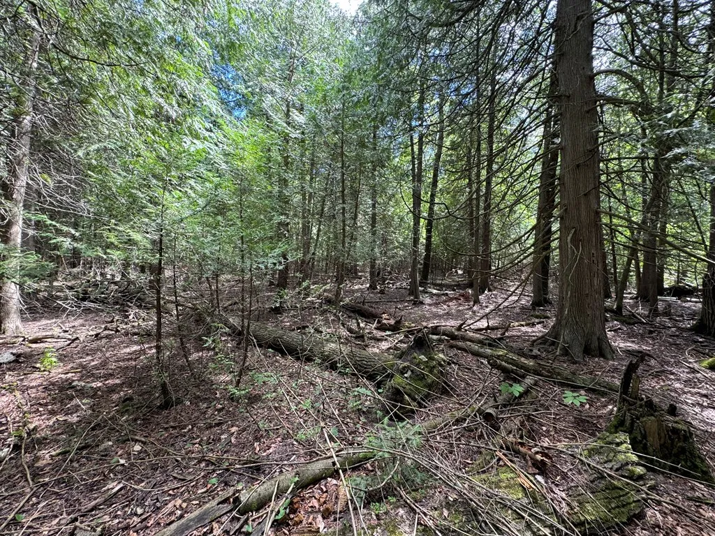 Lot 1 Horseshoe Bay Rd, Egg Harbor Wi 54209, ,Unimproved Land,For Sale,Horseshoe Bay Rd,143060