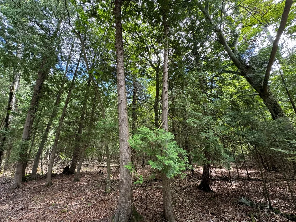 Lot 1 Horseshoe Bay Rd, Egg Harbor Wi 54209, ,Unimproved Land,For Sale,Horseshoe Bay Rd,143060