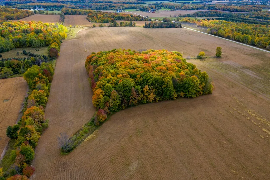 6800 Sunny Point Rd, Egg Harbor, Wisconsin 54209, ,Unimproved Land,For Sale,Sunny Point Rd,144154