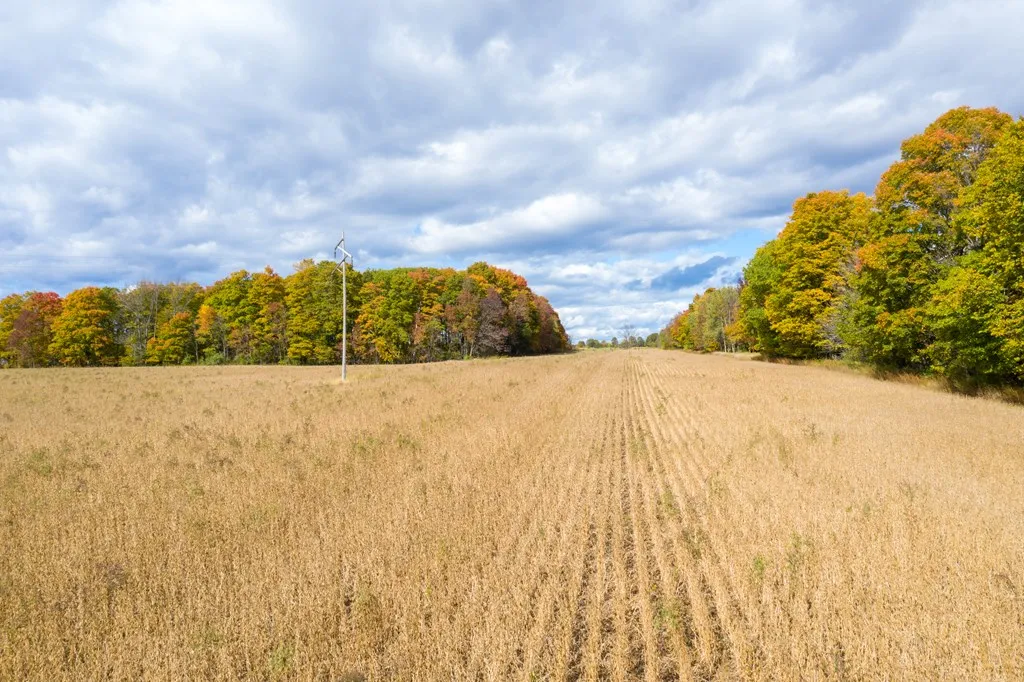 6800 Sunny Point Rd, Egg Harbor, Wisconsin 54209, ,Unimproved Land,For Sale,Sunny Point Rd,144154