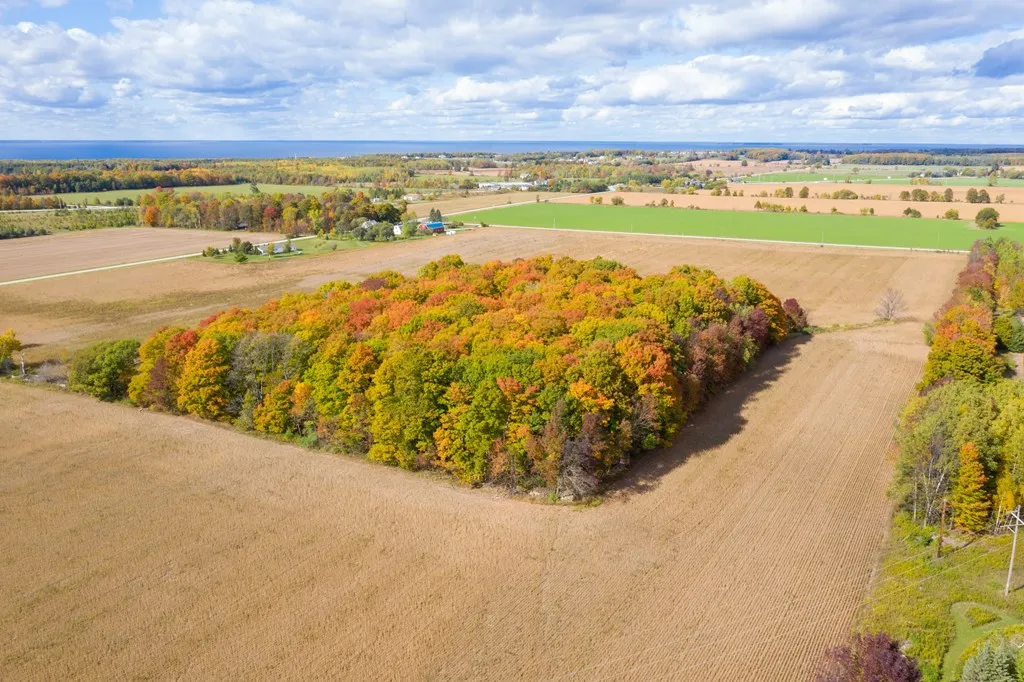 6800 Sunny Point Rd, Egg Harbor, Wisconsin 54209, ,Unimproved Land,For Sale,Sunny Point Rd,144154