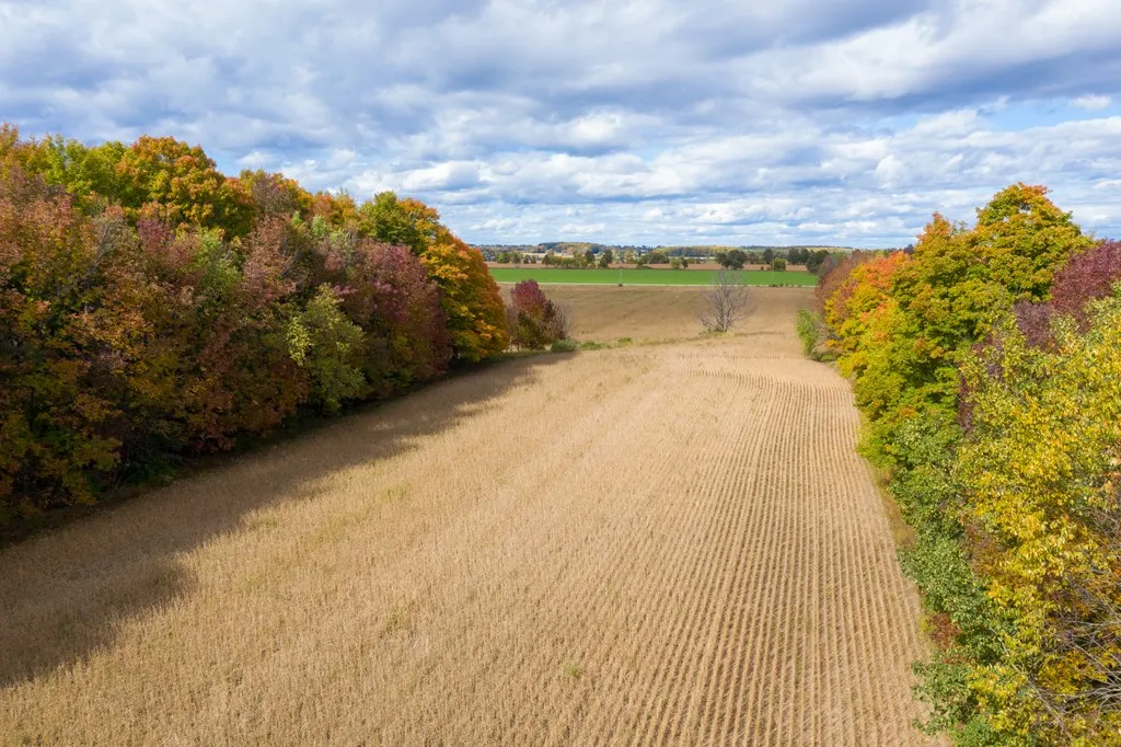 6800 Sunny Point Rd, Egg Harbor, Wisconsin 54209, ,Unimproved Land,For Sale,Sunny Point Rd,144154
