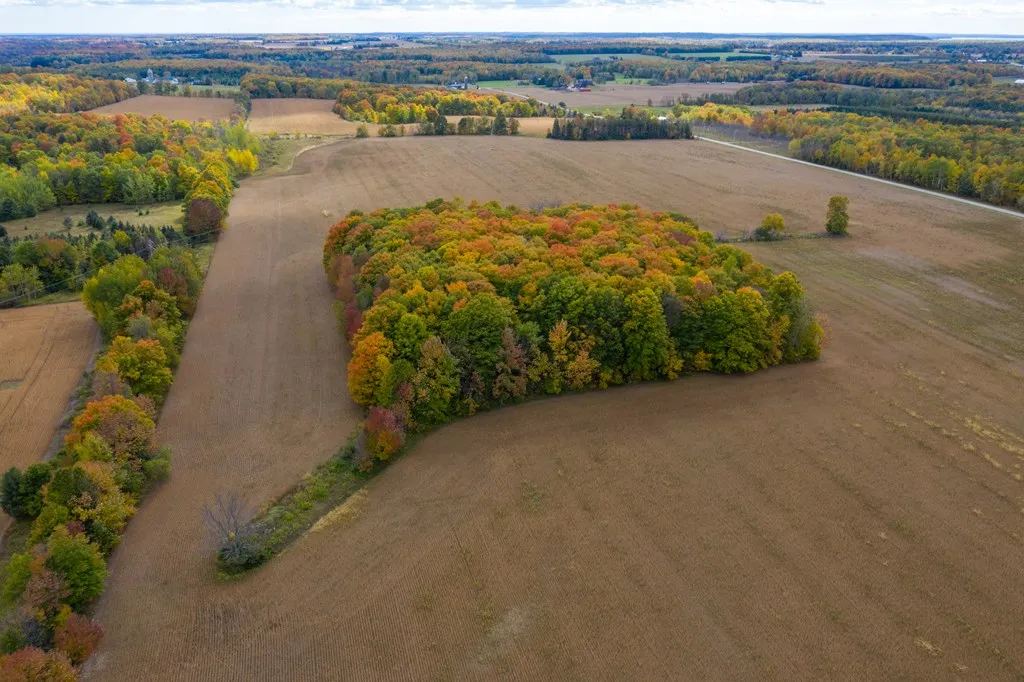 6800 Sunny Point Rd, Egg Harbor, Wisconsin 54209, ,Unimproved Land,For Sale,Sunny Point Rd,144154