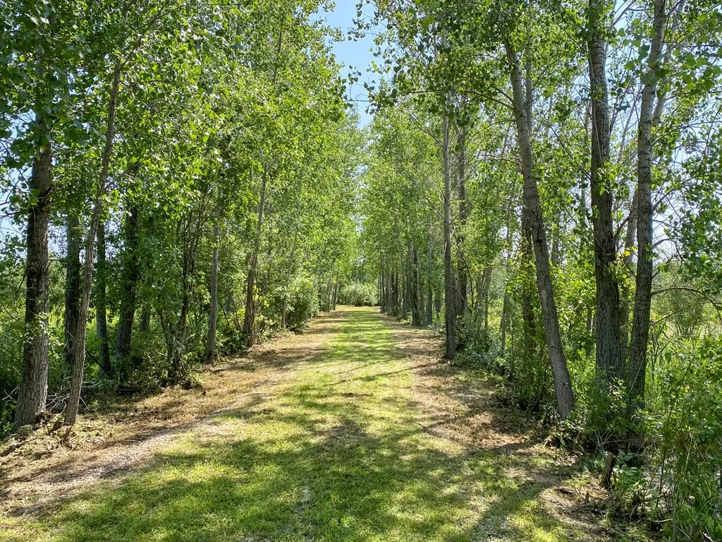 Lot 11 Cherney Ln, Sturgeon Bay, Wisconsin 54235, ,Unimproved Land,For Sale,Cherney Ln,144196