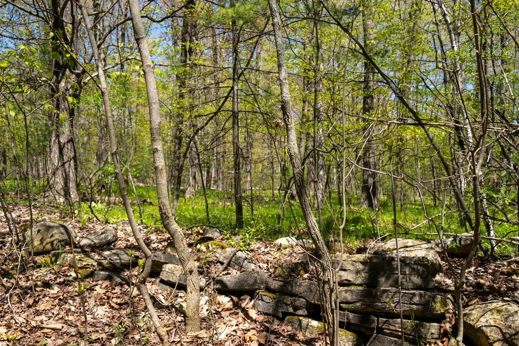 Lot 1 Meadow View Ct, Sturgeon Bay Wi 54235, ,Unimproved Land,For Sale,Meadow View Ct,141642