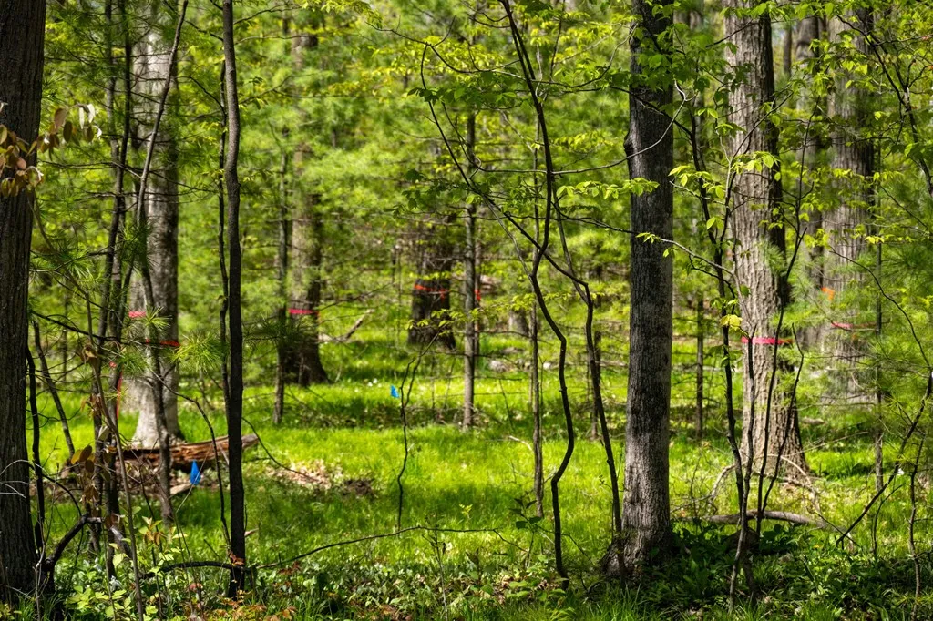 Lot 1 Meadow View Ct, Sturgeon Bay Wi 54235, ,Unimproved Land,For Sale,Meadow View Ct,141642