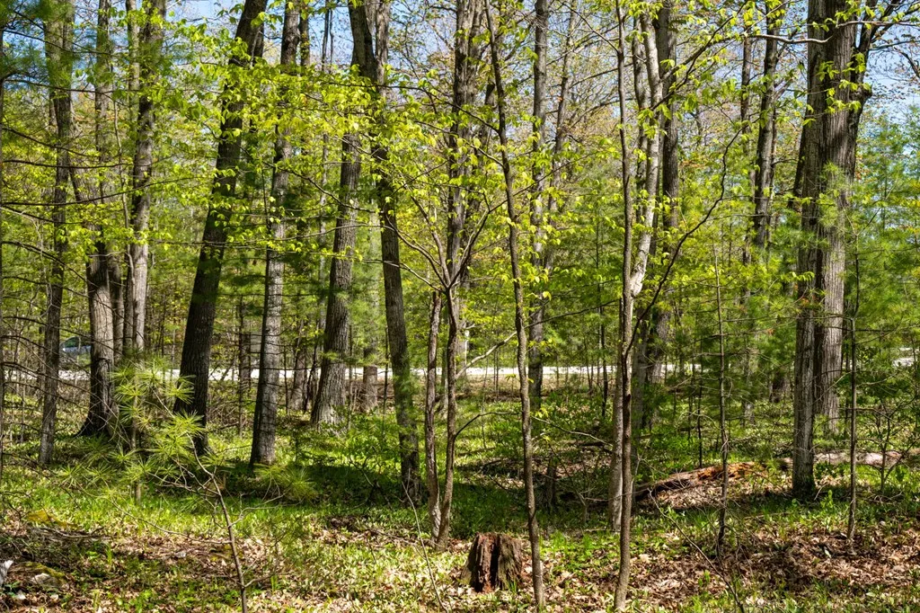 Lot 1 Meadow View Ct, Sturgeon Bay Wi 54235, ,Unimproved Land,For Sale,Meadow View Ct,141642