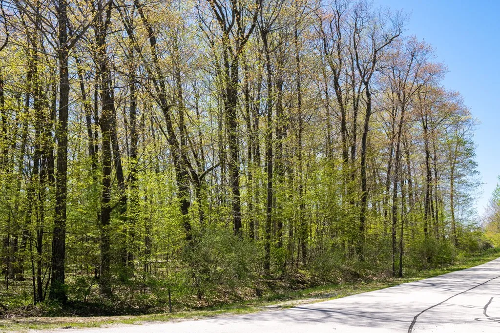 Lot 1 Meadow View Ct, Sturgeon Bay Wi 54235, ,Unimproved Land,For Sale,Meadow View Ct,141642