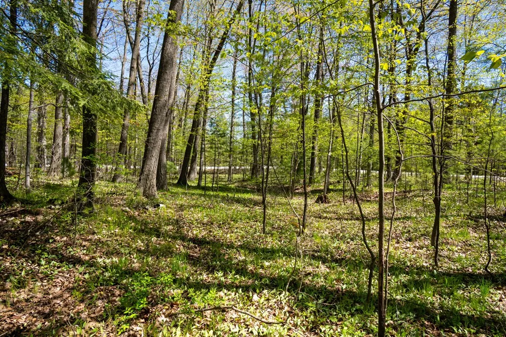 Lot 1 Meadow View Ct, Sturgeon Bay Wi 54235, ,Unimproved Land,For Sale,Meadow View Ct,141642