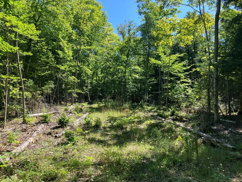 749 Isle View Rd, Ellison Bay, Wisconsin 54210, ,Unimproved Land,For Sale,Isle View Rd,144468
