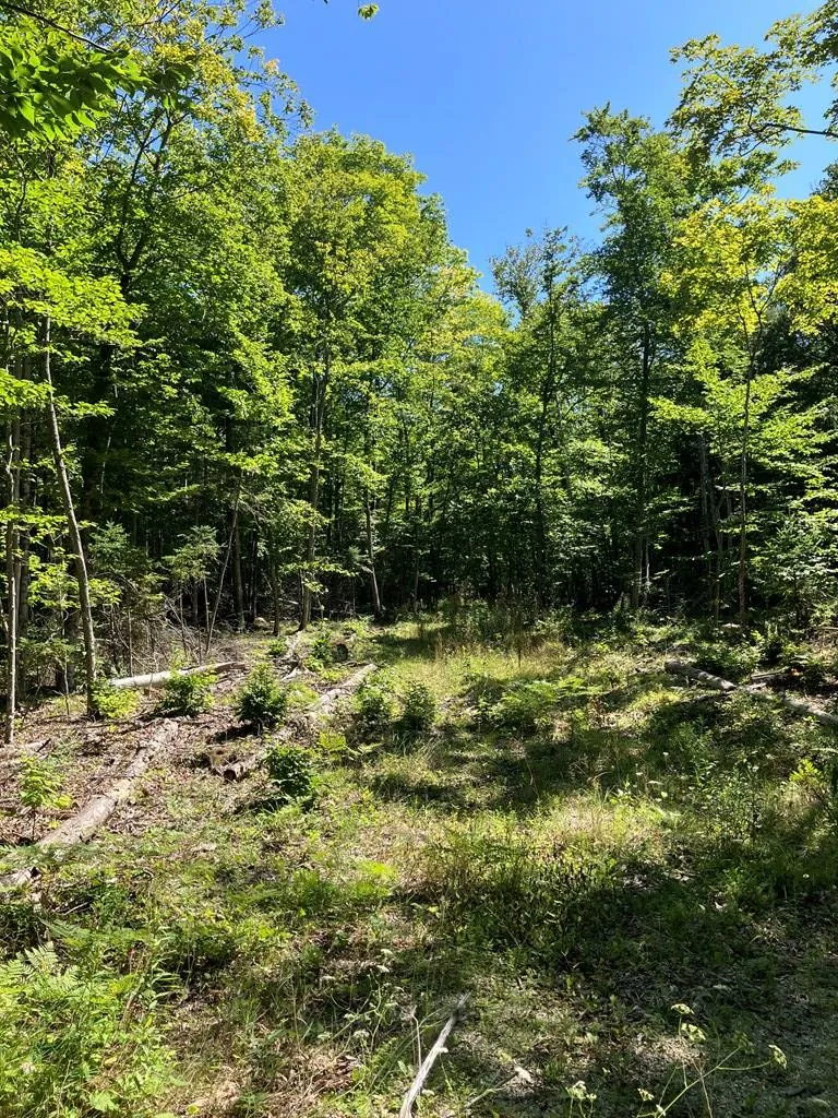 749 Isle View Rd, Ellison Bay, Wisconsin 54210, ,Unimproved Land,For Sale,Isle View Rd,144468