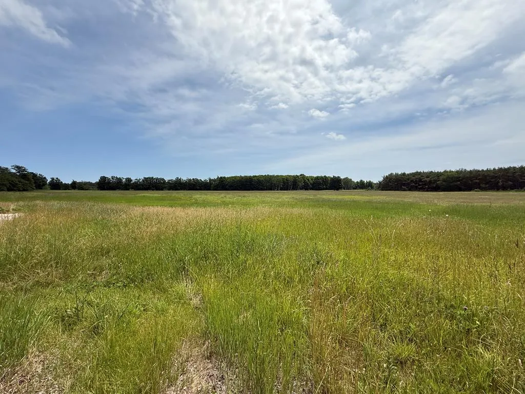 12228 Hwy 42, Ellison Bay, Wisconsin 54210, ,Unimproved Land,For Sale,Hwy 42,144401