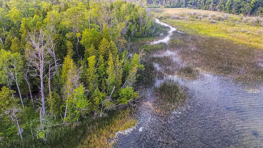 Lot 1&2 Landin Ln, Town Of Liberty Grov Wi 54210, ,Unimproved Land,For Sale,Landin Ln,141013