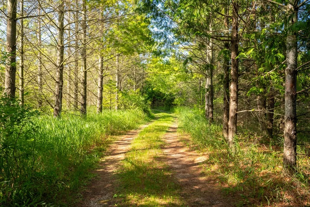 54210 Mink River Rd, Town Of Liberty Grov Wi 54210, 2 Bedrooms Bedrooms, ,2 BathroomsBathrooms,Inland-Residential,For Sale,Mink River Rd,141908