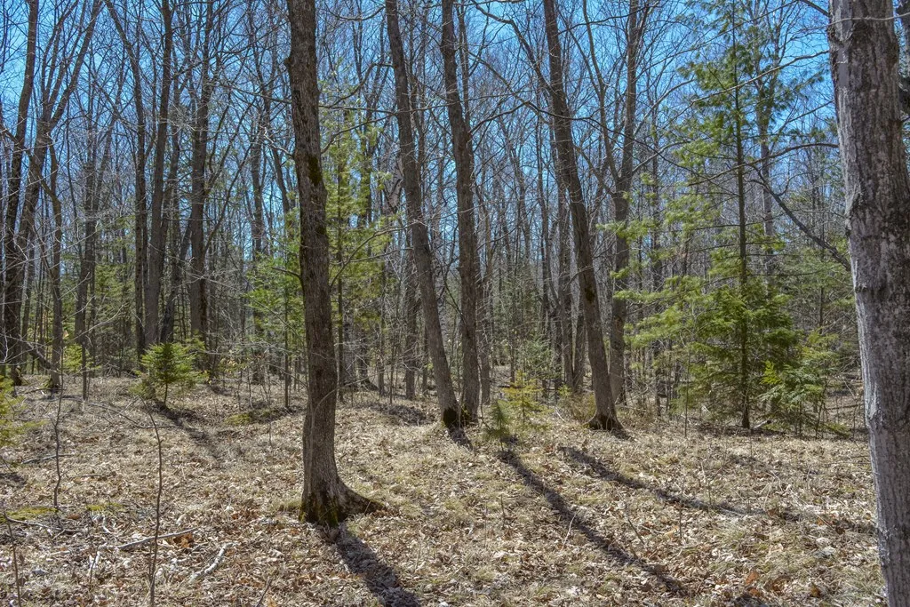 1037 Stoney Ln, Ellison Bay Wi 54210, 3 Bedrooms Bedrooms, ,3 BathroomsBathrooms,Inland-Residential,For Sale,Stoney Ln,143813