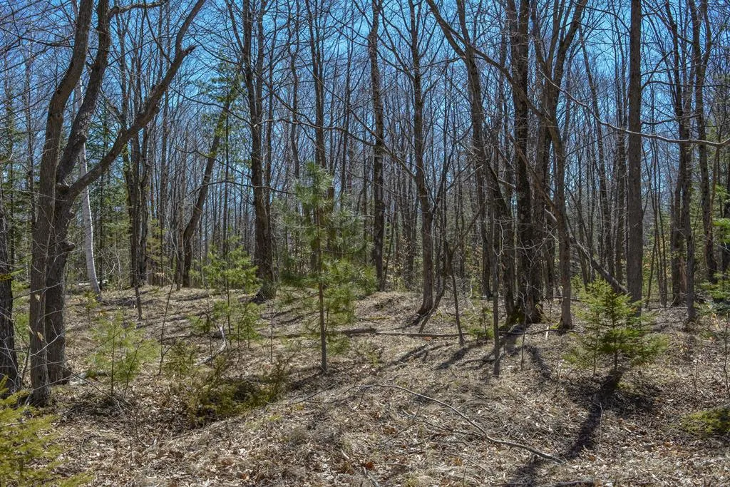 1037 Stoney Ln, Ellison Bay Wi 54210, 3 Bedrooms Bedrooms, ,3 BathroomsBathrooms,Inland-Residential,For Sale,Stoney Ln,143813