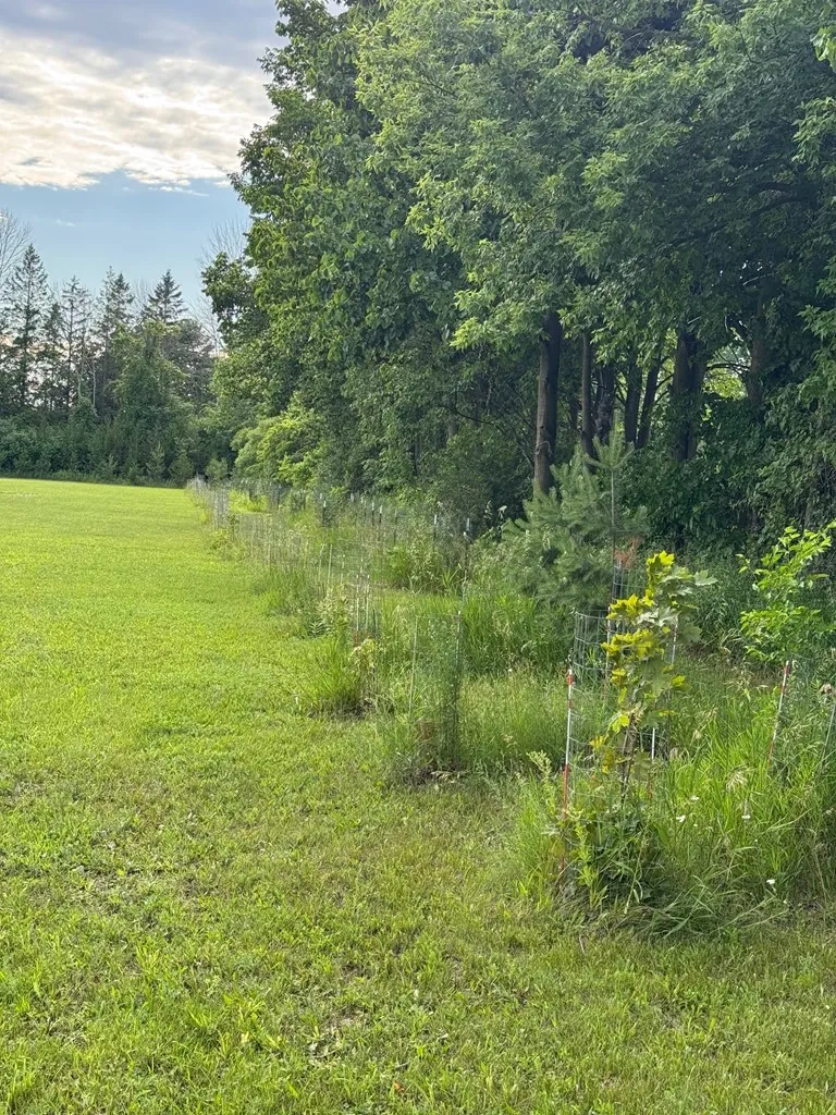 County Hwy Dk, Sturgeon Bay, Wisconsin 54235, ,Unimproved Land,For Sale,County Hwy DK,144211